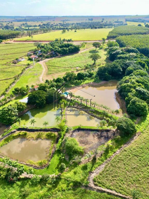 Fazenda, 12 hectares - Foto 6