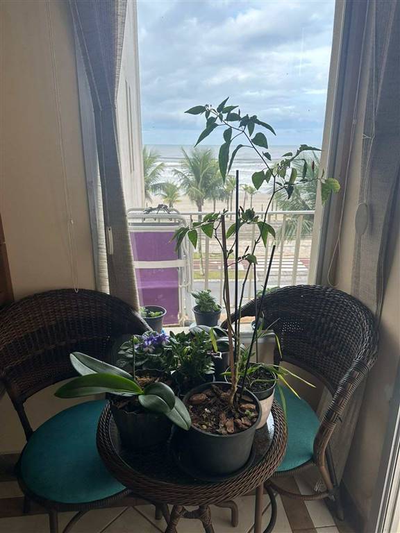 Apartamento com 3 quartos e 88 m² em Vila Caiçara, Praia Grande
