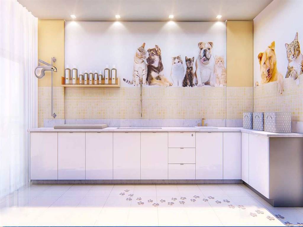 Apartamento com 2 quartos e 71 m² em Ocian, Praia Grande