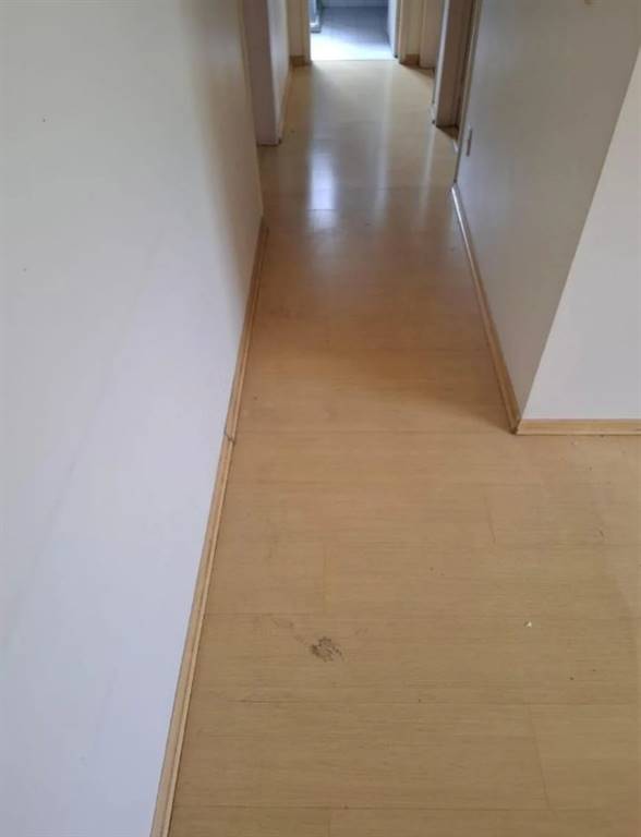 Apartamento com 2 quartos e 45 m² em Vila Guilhermina, Praia Grande