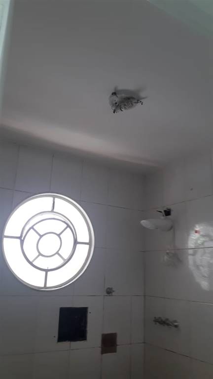 Casa com 5 quartos e 200 m² em Vila Guilhermina, Praia Grande