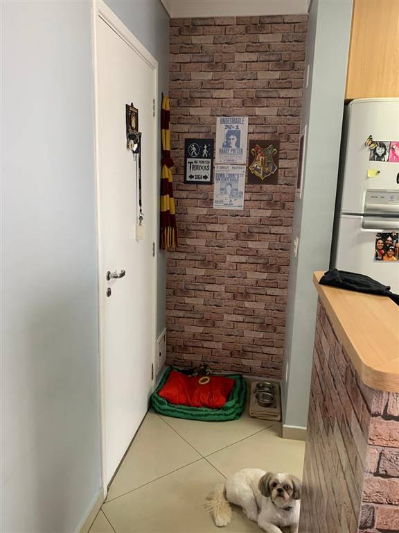 Apartamento com 2 quartos e 52 m² em Vila Guilhermina, Praia Grande