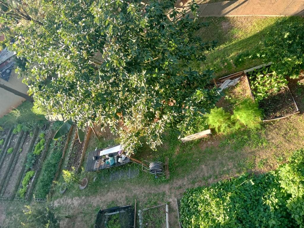 Apartamento com 2 quartos e 45 m² em Vila Guilhermina, Praia Grande