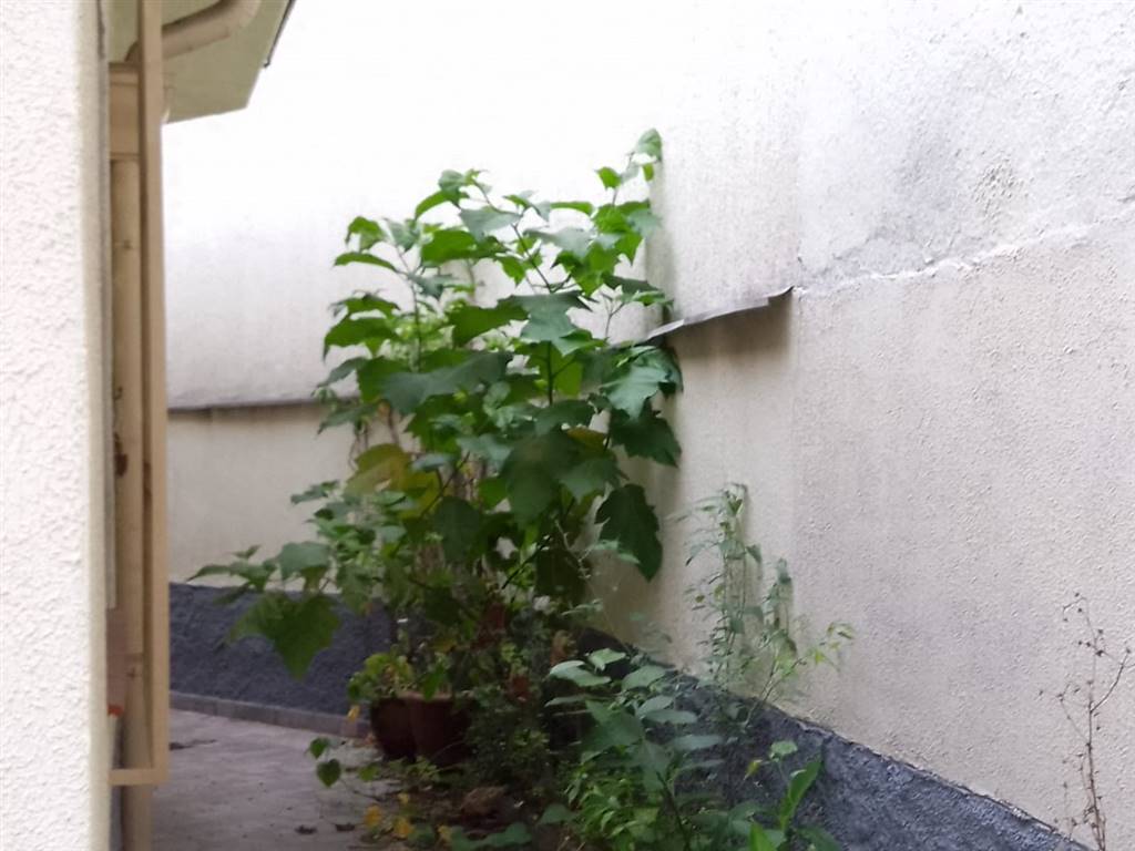 Casa com 2 quartos e 210 m² em Vila Guilhermina, Praia Grande