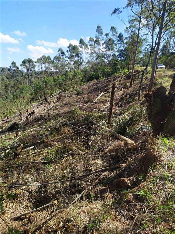 Terreno com 1500 m² em Vila Guilhermina, Praia Grande