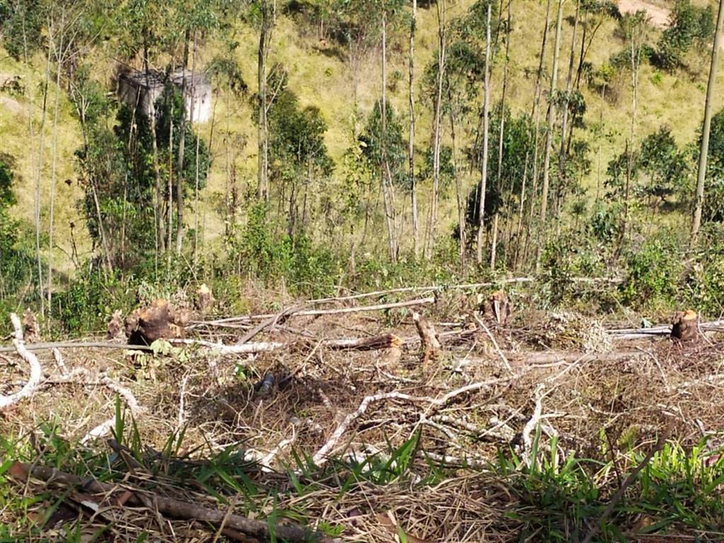 Terreno com 1500 m² em Vila Guilhermina, Praia Grande