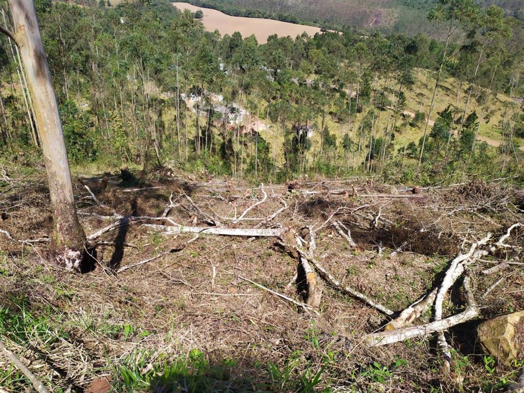Terreno com 1500 m² em Vila Guilhermina, Praia Grande