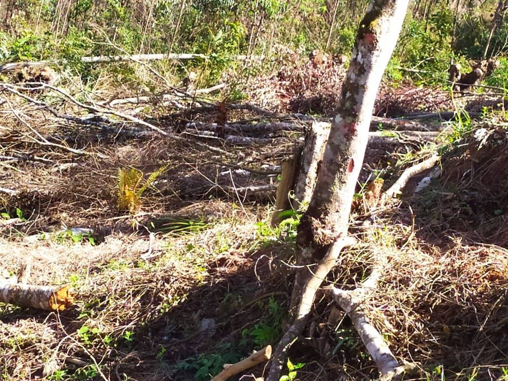Terreno com 1500 m² em Vila Guilhermina, Praia Grande