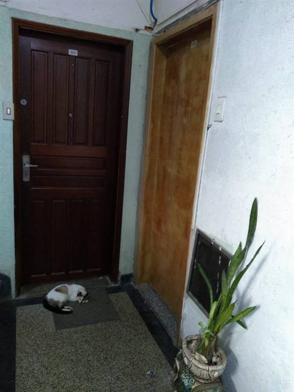 Apartamento com 2 quartos e 80 m² em Vila Guilhermina, Praia Grande