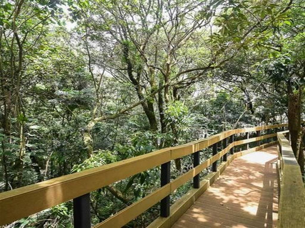 Apartamento com 1 quarto e 53 m² em Vila Guilhermina, Praia Grande
