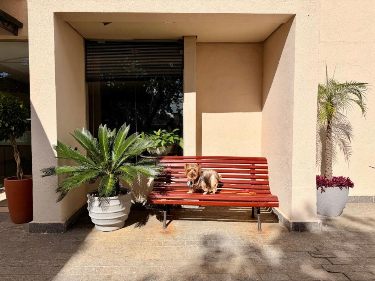 Apartamento com 2 quartos e 60 m² em Vila Tupi, Praia Grande